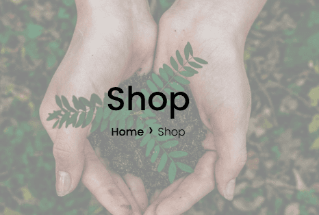 SustainLoop Shop (Collaboration Project)